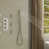 Brushed Nickel selected
