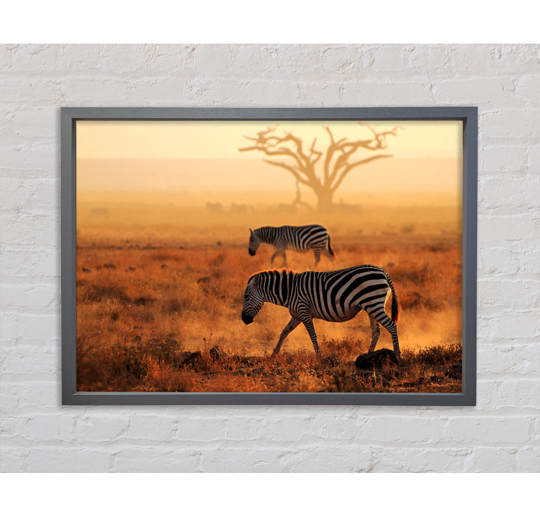 Sunset Zebra - Einzelner Bilderrahmen Kunstdrucke auf Leinwand