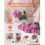 Geranium Arrangement