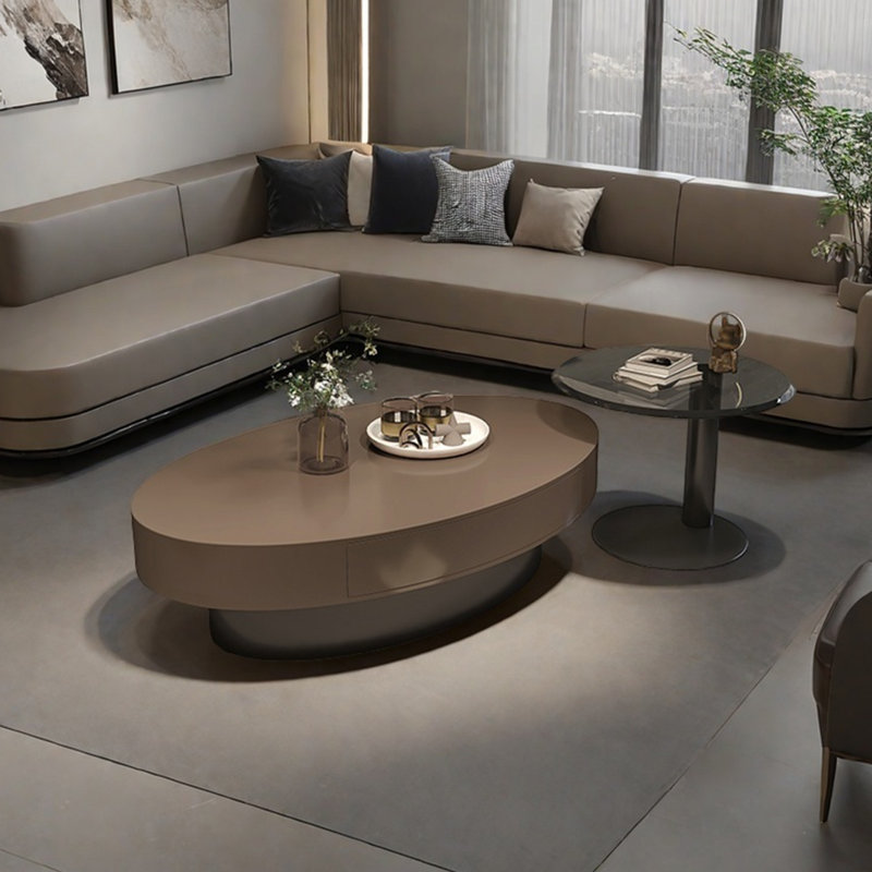 Table basse moderne et simple ovale, Café