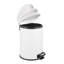 Leman Steel Step On Kitchen Trash Can - 20L-183836875