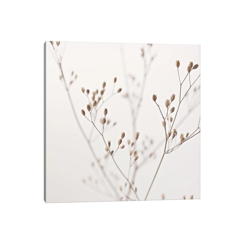 Wildflower Natural Beige I Square by Monika Strigel - Wrapped Canvas Print, 30.48 cm H x 30.48 cm W