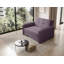 Sarlota 2 Seater Sofa Bed-83383089