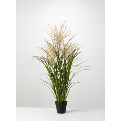 Faux Reed Grass in Pot