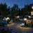 Lycius 1-Light Outdoor Pier Mount Light