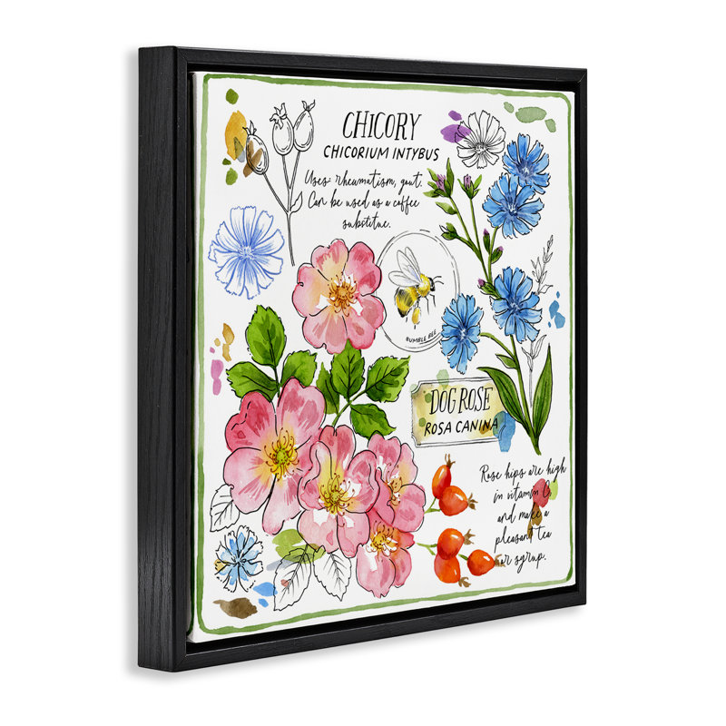Varied Herbs Benefits  Framed Floater Canvas Wall Art by Jane Maday, Jet Black Floater Frame, 18" H x 18" W