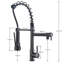 Belfry Kitchen Genevrier Pull Out Kitchen Faucet