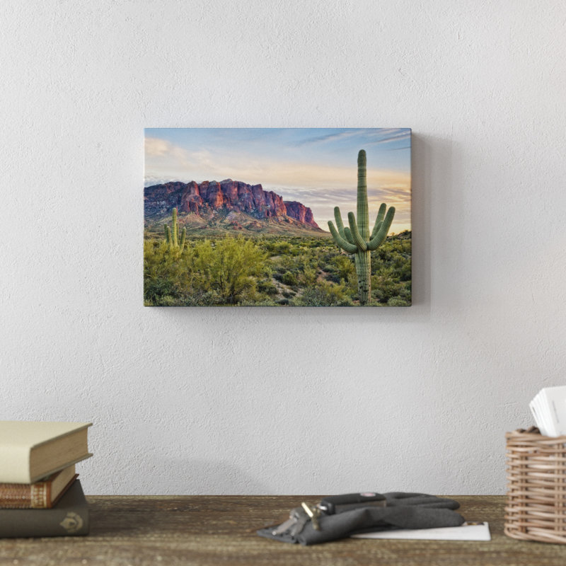 Cacti View II by David Drost - Print on Canvas, 20cm H x 30cm W, Wrapped Canvas