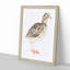 A Quail by Johan Teyler - Single Picture Frame Painting-55450948-55450944