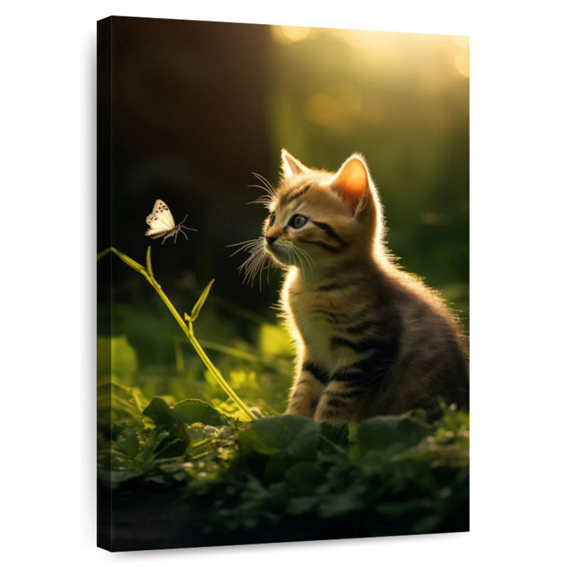 Brampt Kitten Watching Butterfly, 48" H x 32" W
