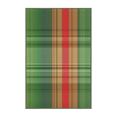 Plaid Indoor Rug