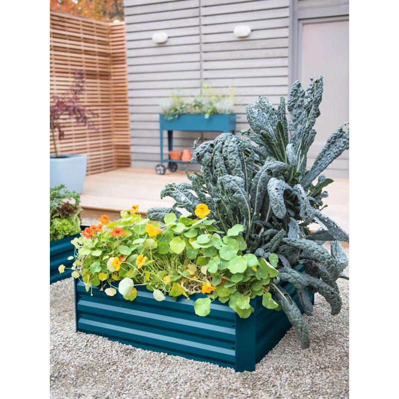 Deep Blue Corrugated Metal Outdoor Raised Garden Bed