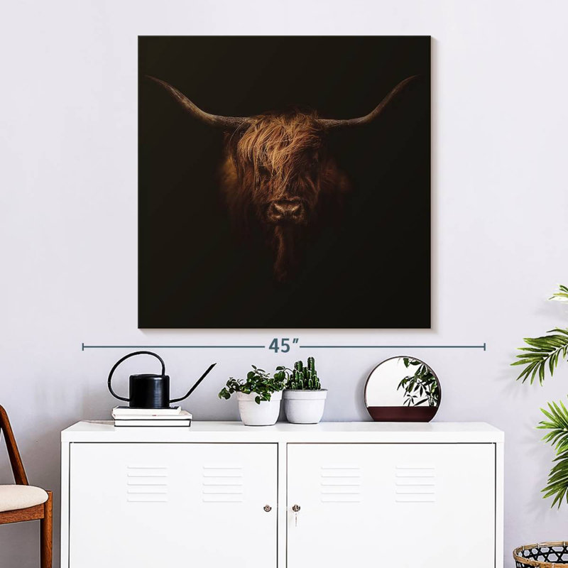 Crowle Hairy Highland Bull