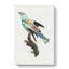 Abyssinian Roller Bird - Wrapped Canvas Painting-55368814