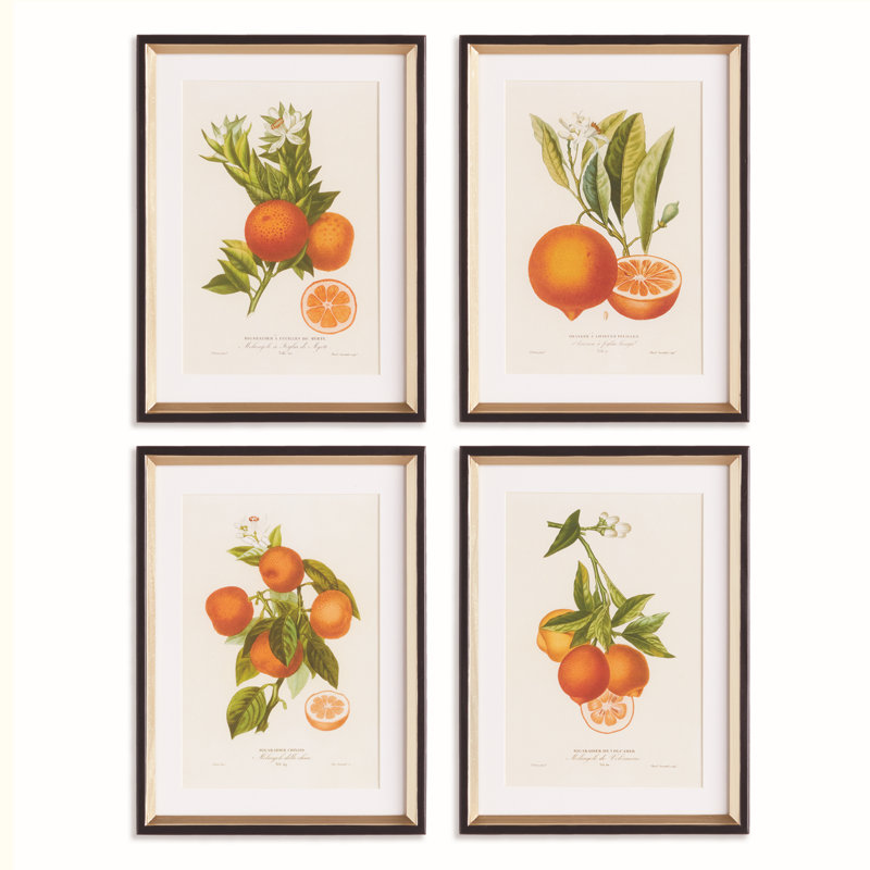 CITRIS CUTTINGS STUDY, SET OF 4