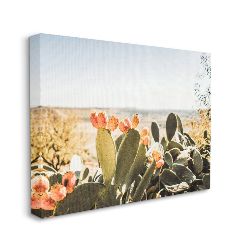 Cactus ensoleillé par Krista Broadway - photographie, H 24 po x l 30 po x P 1,5 po, Toile tendue