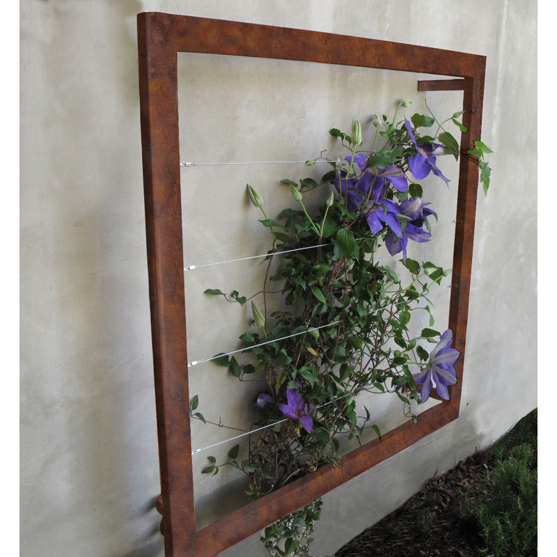 Treillis en acier Durene Wall, Oxyde