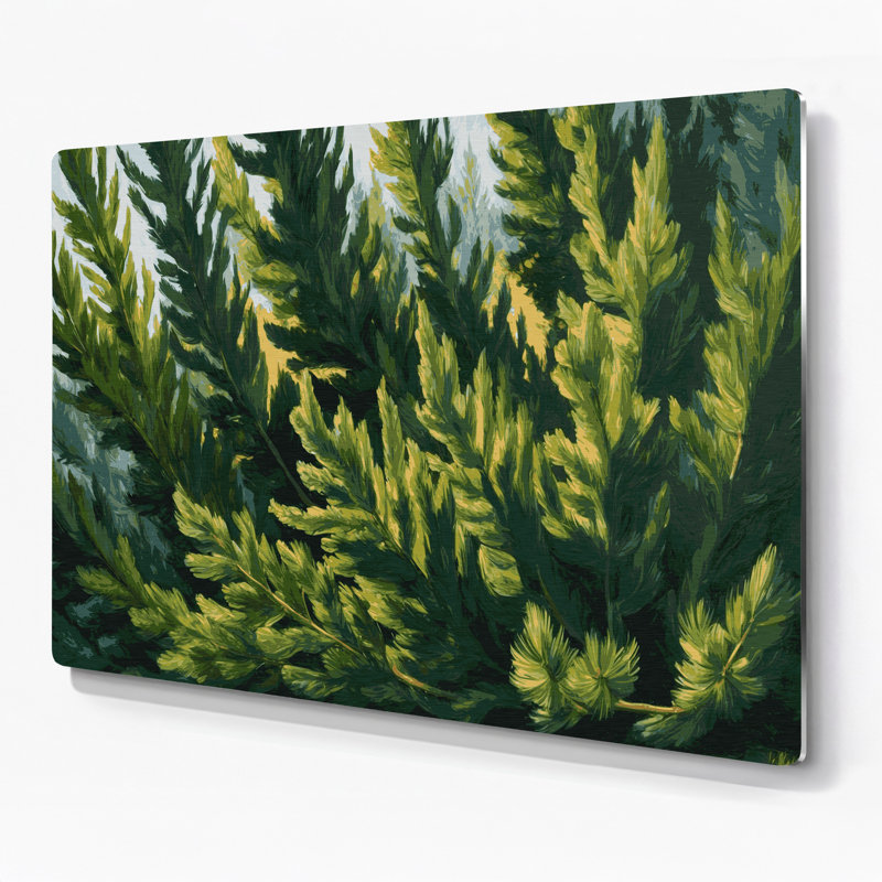 Art mural en métal Botanical Cedar Boughs, H 24 po x l 36 po