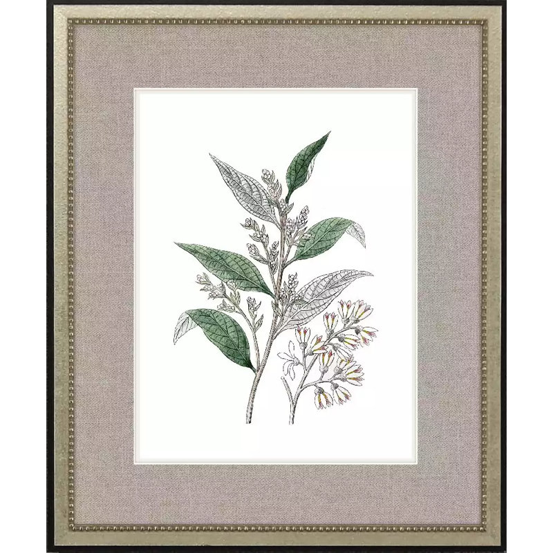 White Flowers S/4 Set by Giclee Studio