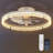 20 inch Ceiling Fans with Lights and Remote-1007392811