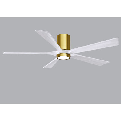 Irene Ceiling Fan with LED Light Kit