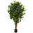 Ficus Artificial Tree