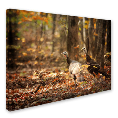 Vidur 'Wild Turkey in the Woods' Graphic Art Print on Wrapped Canvas