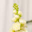 Florence artificielle Delphinium-1134371304