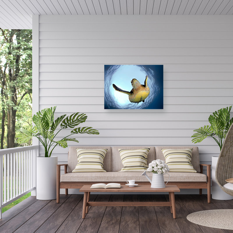 «Green Turtle In Snells Window on Canvas» par Henry Jager, reproduction, H 14 po x l 19 po