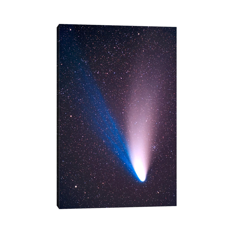 Comet Hale-Bopp, April 7, 1997 by Alan Dyer - Wrapped Canvas Print, 20.32 cm H x 30.48 cm W