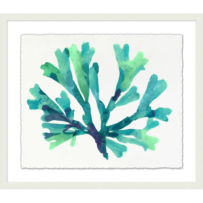 Transparaent Sea Life 3 Print