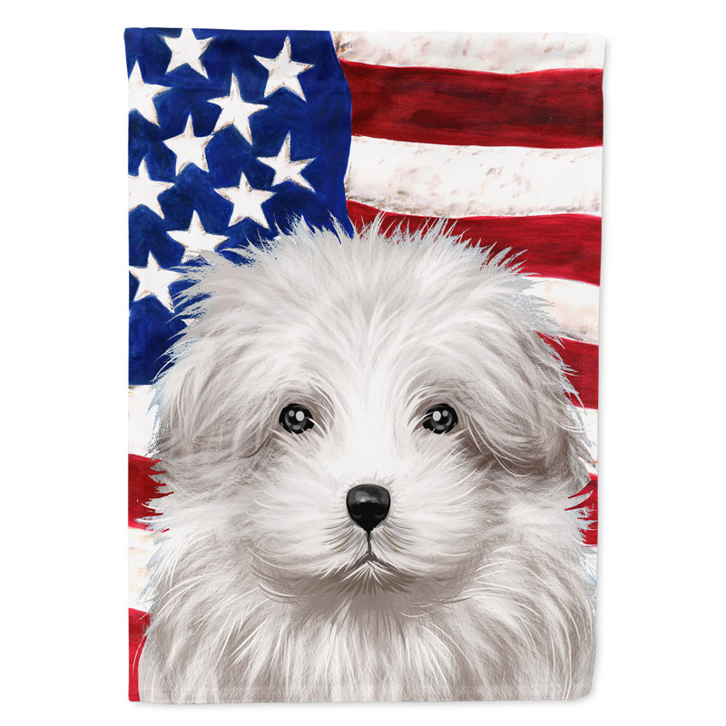 Polyester à 2 côtés 28 x 40 po drapeau maison, Bichon bolonais