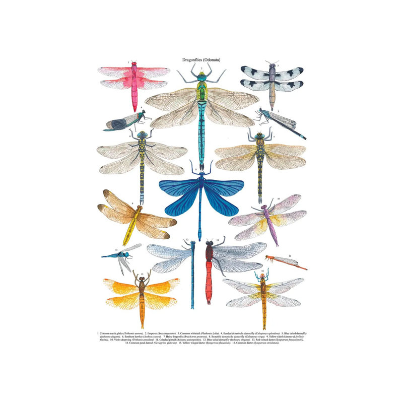 Dragonflies 1 Piece Wall Art on Canvas, 66.04 cm H x 45.72 cm W x 1.91 cm D, Wrapped Canvas