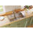 Lustertone 33" L x 22" W Double Basin Drop-In Kitchen Sink with Drain Assembly-9253523
