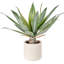 53cm Faux Plant in Cement Pot