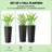 Set Of 2 Flower Pots,Tall Planters,Flower Boxs-2145017742