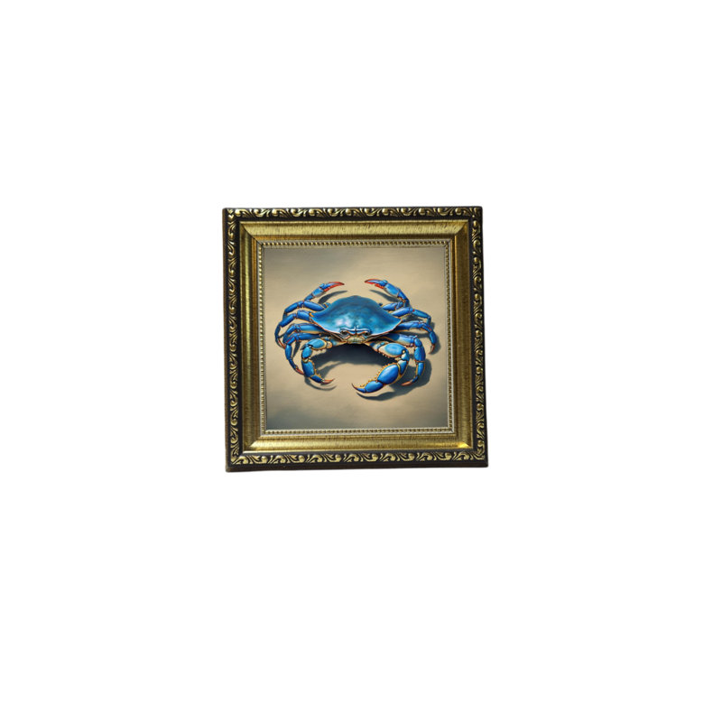 Crabe bleu ayotomi 8, H 34 po x l 26 po