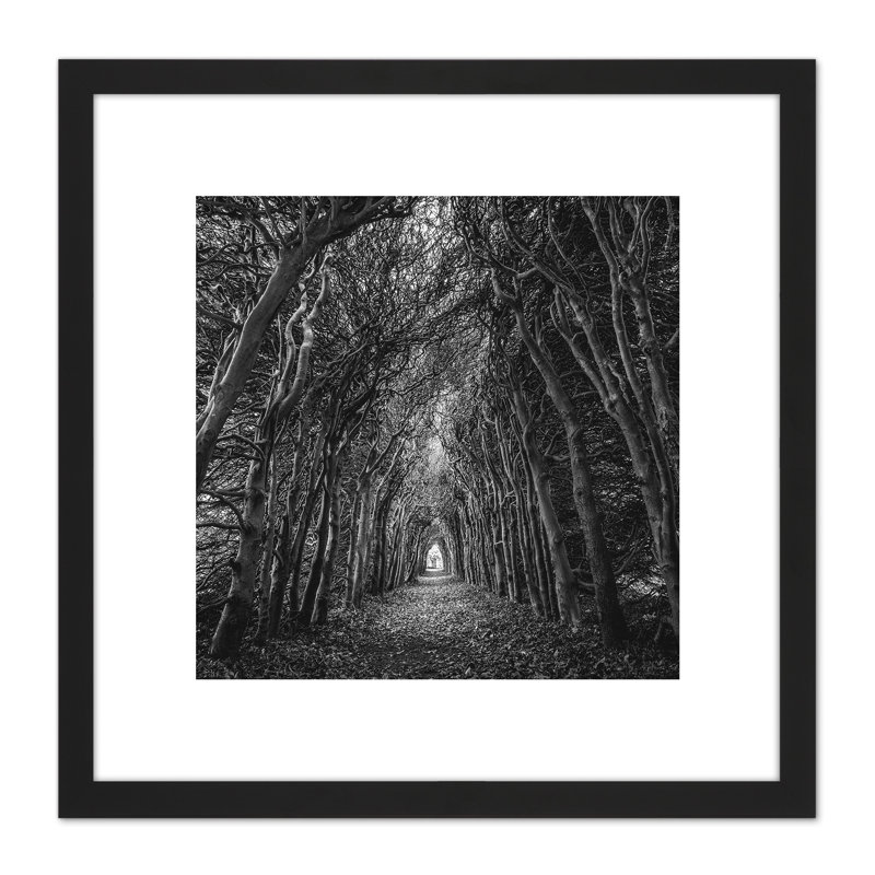 Tree Tunnel Lane Atmospheric Black White - Single Picture Frame Print