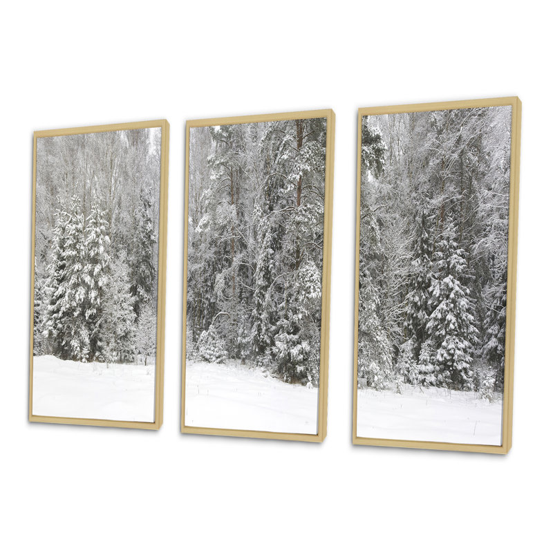 «Foggy Winter Forest Panorama», ensemble de 3 toiles encadrées, H 20 po x l 36 po, Cadre brun