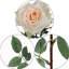 Ensemble de roses artificielles-1221186045-1313048091