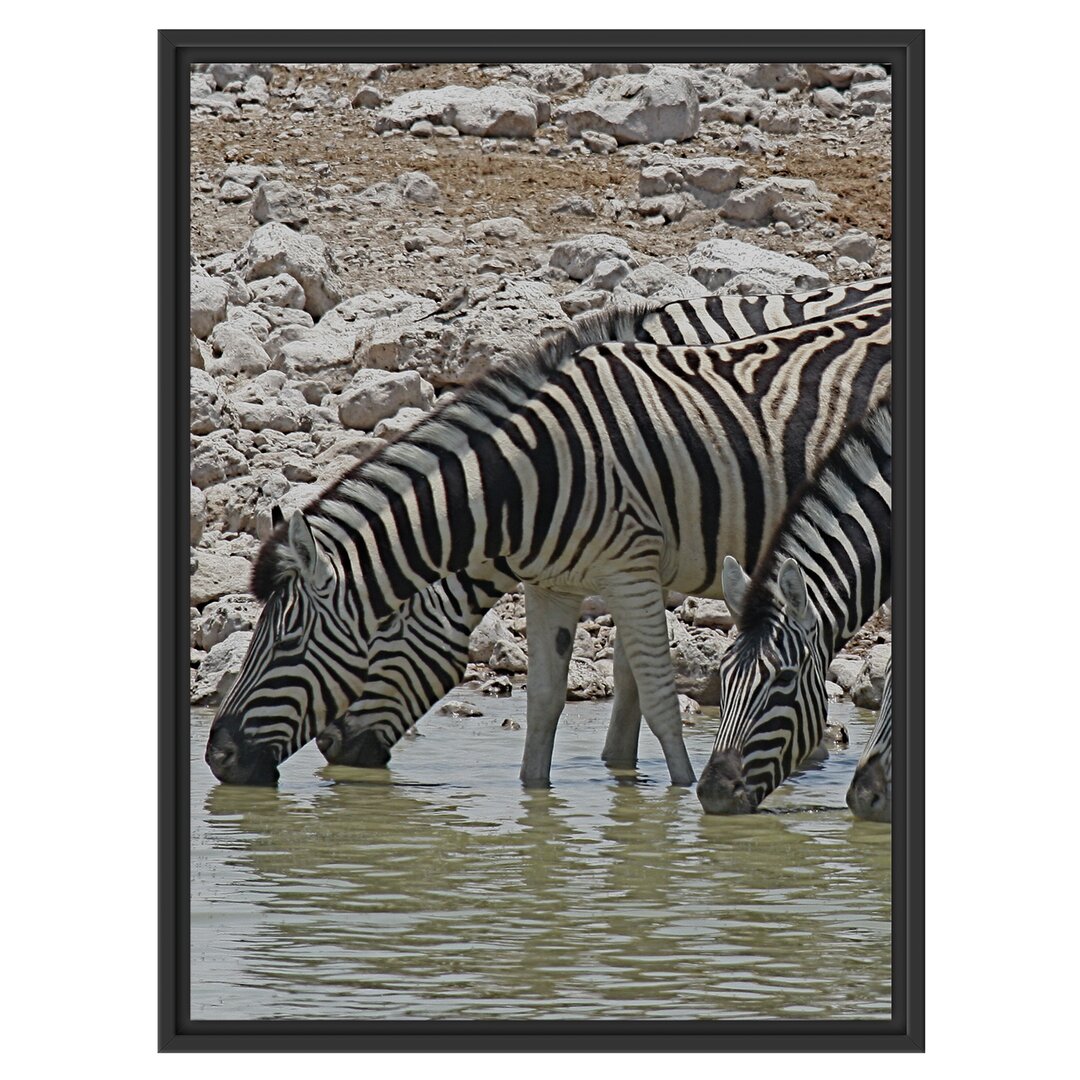 Gerahmtes Wandbild Zebraherde am Wasserloch