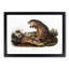 Woodchucks by J.W. Audubon - Picture Frame Painting Print-55765740-55765735
