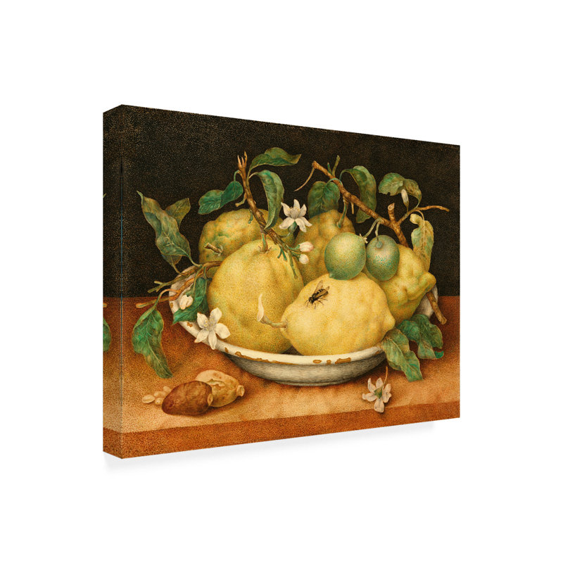 «Still Life with Bowl of Citrons» par Garzoni, reproduction sur toile tendue, H 24 po x l 32 po x P 2 po