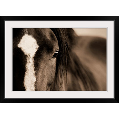 «Kemani Dark Eyes», Lisa Dearing, reproduction de photo