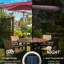 Parasol solaire 9 pi x 7 pi, lumières à DEL avec inclinaison et manivelle, rehausse le jardin arrière, parasol de patio rouge à DEL, rehausse l'ambiance de la piscine, 7