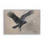 Impression de majestueux corbeau en mouvement-1028497283-1028497289