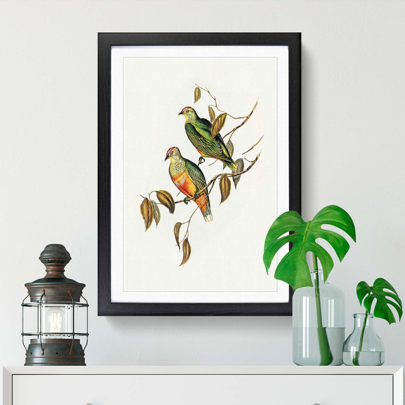 Ewing's Fruit Pigeons by Elizabeth Gould - Picture Frame Painting Print, 65cm H x 48cm W x 2cm D, Black Framed