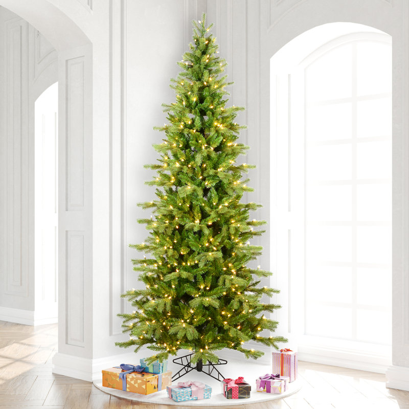 Vickerman Balsam Spruce Slim Artificial Christmas 12' H Lighted Artificial Spruce Christmas Tree, 12' H x 65" W