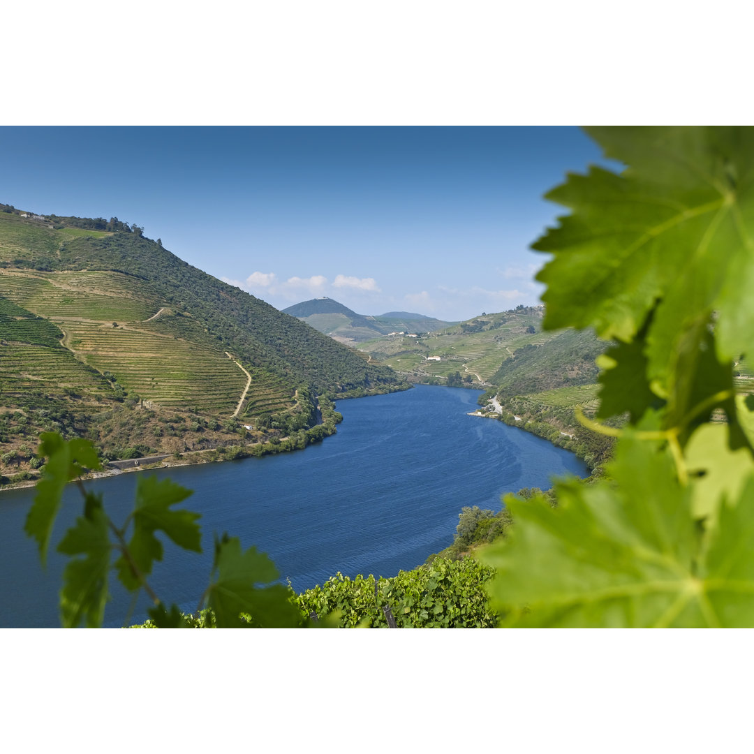 Douro Tal von Leonsbox - Druck