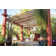 Sawyer 12-Light Single Tier Outdoor Rustic Chandelier